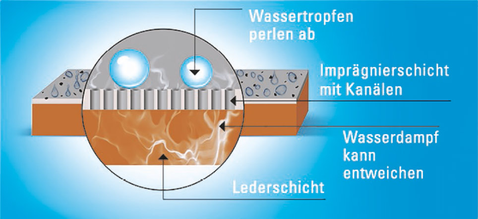 Infografik